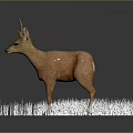 Game Film Character 3D Brown Deer Model Standing on Circular Grass Platform