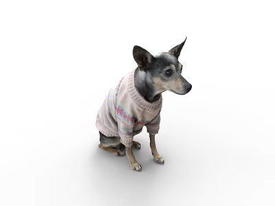 Cute Reptile Lizard Wearing Pink Knitted Sweater Sitting Calmly On White Background 3d model