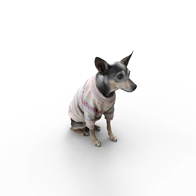 Modern Dog Pet Dog 3d model