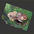 Vibrant Floral Display On Green Leafy Base With Pink Purple Blooms And Yellow Accents