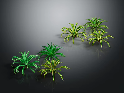 Green and Yellow Curly Leaf Indoor Decorative Plants on Dark Surface 3d model