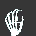 Human Hand Skeleton Anatomical Structure With Detailed Phalanges And Metacarpal Bones