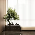 Indoor Public Chair By Large Window With Wooden Walls White Blinds And Green Plant