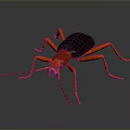 Red and Black Insect with Long Legs and Antennae on Dark Background Surface