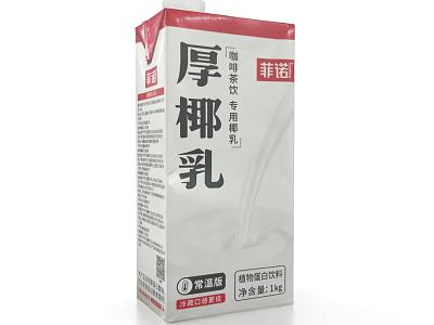 Feinuo Thick Coconut Milk Plant Protein Beverage in 1L Carton Packaging 3d model