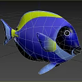 Vibrant Blue And Green Tropical Fish With Black Face Swimming In Blue Water