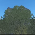 Modern High Rise Hotel Building With Greenery Surroundings And Urban Road Network