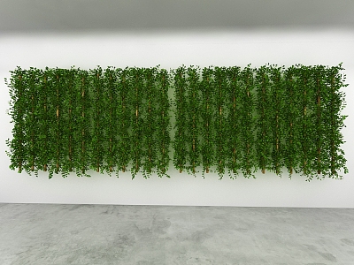 green plant wall model