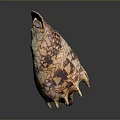 Detailed Animal Organ Structure With Fine Hair And Colorful Surface Patterns