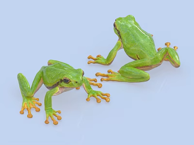 Two Vibrant Green Reptiles With Yellow Toes Resting On Light Blue Background 3d model