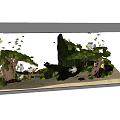 Natural Style Aquarium Interior Landscaping With Green Plants Rocks And Decorations