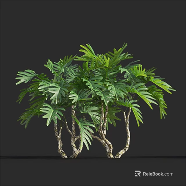 Lush Green Plants With Fern Like Leaves And White Textured Clustered Stems 3d model 