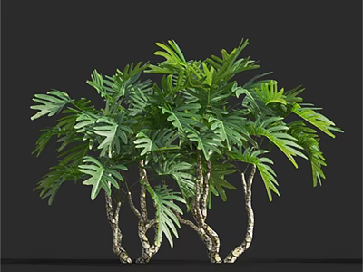 Lush Green Plants With Fern Like Leaves And White Textured Clustered Stems 3d model