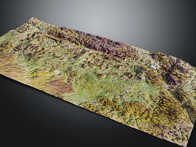 Detailed Colorful Terrain Model Featuring Undulating Landforms Mountain Ranges And Plains 3d model