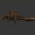 Detailed Spinosaurus Dinosaur Model With Sail Back Open Mouth Sharp Teeth And Brown Orange Coloration