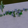 Diverse Green Plants Arranged On Gray Ground With Various Leafy Varieties