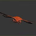 Detailed Red Insect With Orange And Dark Colored Wings On Dark Background