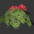 Vibrant Geranium Plant With Lush Green Leaves And Bright Red Flowers In Hemispherical Growth