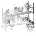 Lush Garden Decor With Multi Tiered Metal Rack And Potted Green Plants