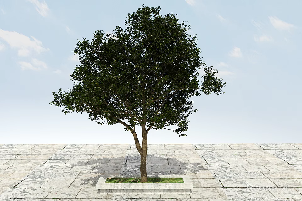 Arbor Growing in Stone Pavement with Green Leaves and Grass Patch Under Blue Sky 3d model 