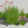 Green Herbs And Pink Feathery Plants With Stones In Natural Garden Arrangement