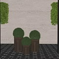Modern Potted Plants with Trimmed Green Foliage in Metal Pots Against Gray Wall Dark Grilles