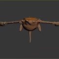 Cartoon Character 3D Model With Skeleton Like Body Curly Hair Orange Color And Slender Limbs