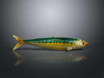Green And Yellow Aquatic Fish With Black Spots Orange Eyes Yellow Tail On Black Background 3d model