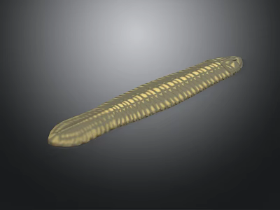 Golden Yellow Millipede With Elongated Segmented Body On Dark Gradient Background 3d model