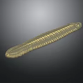 Golden Yellow Millipede With Elongated Segmented Body On Dark Gradient Background
