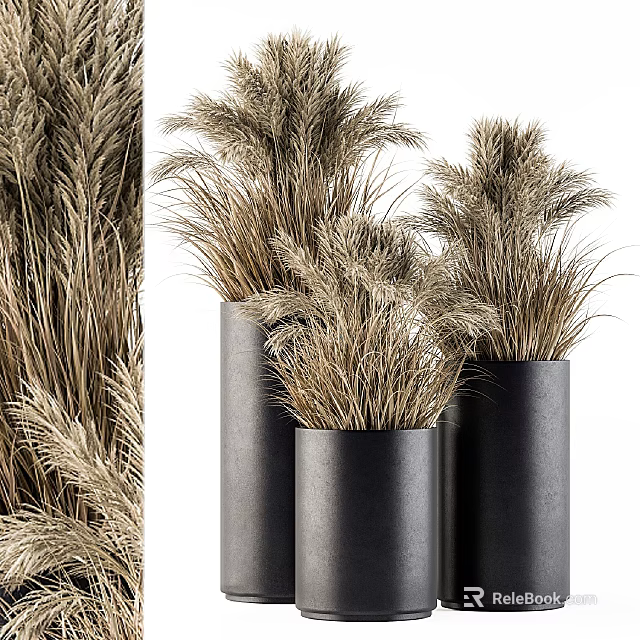Black Cylindrical Vases With Dried Pampas Grass For Modern Home Decor 3d model 