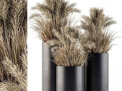 Black Cylindrical Vases With Dried Pampas Grass For Modern Home Decor 3d model