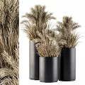 Black Cylindrical Vases With Dried Pampas Grass For Modern Home Decor