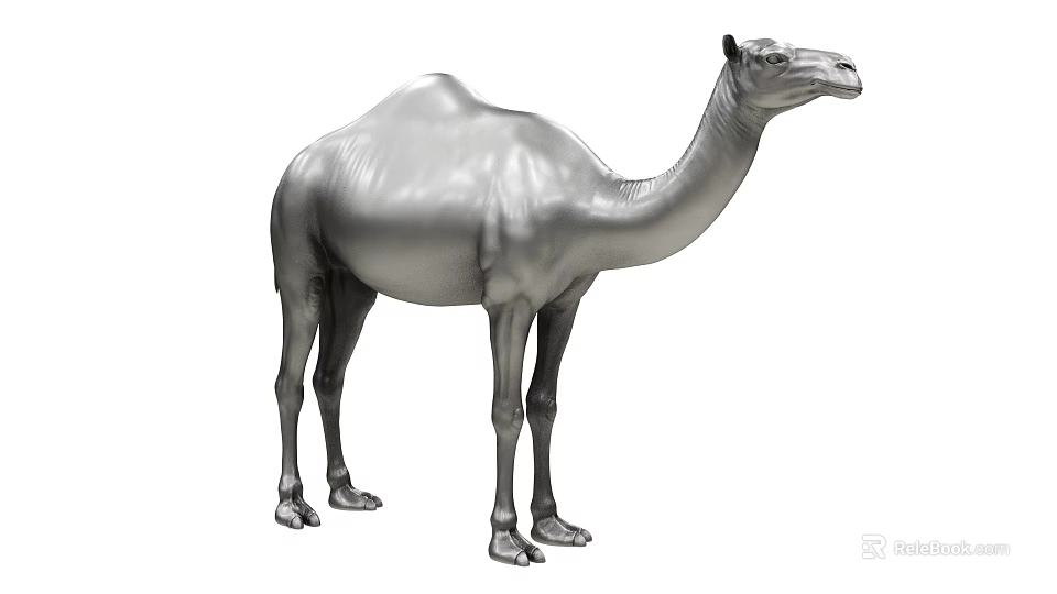 Single Silver Camel 3D Model on White Background with Detailed Texture 3d model