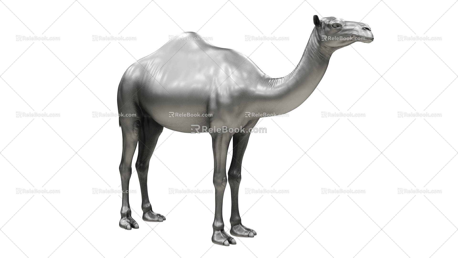 camel dromedary camel 3d model