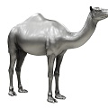 camel dromedary camel 3d model