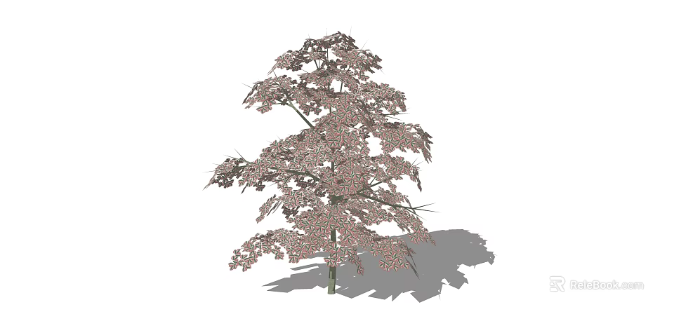 Leafy Shrub With Pinkish Leaves And Dense Foliage On Green Stem 3d model 