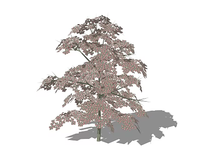 Leafy Shrub With Pinkish Leaves And Dense Foliage On Green Stem 3d model