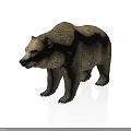 Realistic 3D Model of Large Brown Bear with Thick Fur on White Background