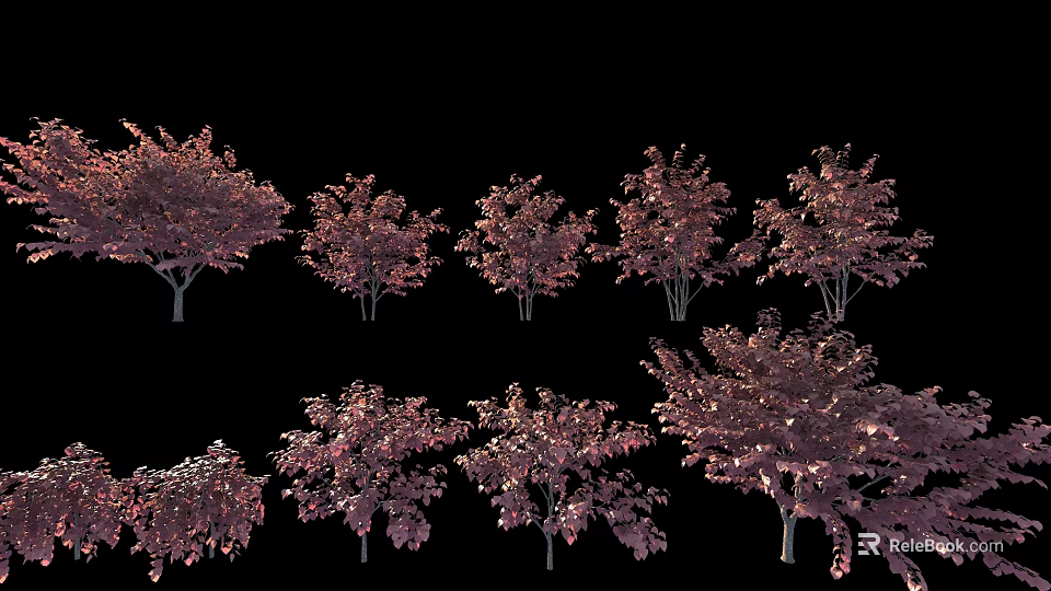 Ornamental Purple Leaf Shrubs for Garden Landscaping with Various Shapes and Sizes 3d model 
