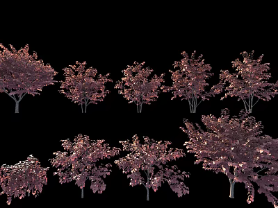 Ornamental Purple Leaf Shrubs for Garden Landscaping with Various Shapes and Sizes 3d model