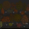 Various Colored Arbor Trees With Different Shapes Surrounded By Stones In Natural Scene