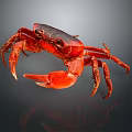 Red Crab With Shiny Shell And Extended Claws On Dark Background