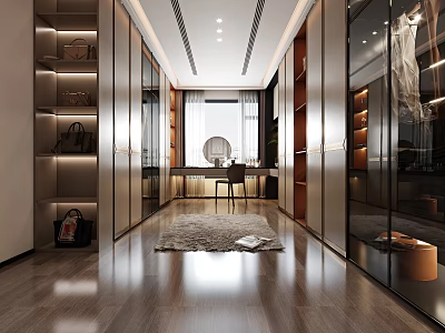 Modern Walk in Closet Interior With Storage Bags Workspace And Rug 3d model