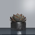Small Decorative Succulent Bonsai Potted Plant In Blue Pot On Indoor Table