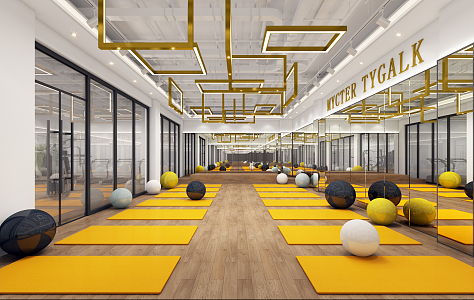 Modern Yoga Room Gymnasium 3d model