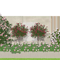 Colorful Garden Flowers Including Pink Red And White Roses With Shrubs And Lawn