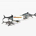 Realistic Swordfish Models in Swimming Pose with Various Sizes and Detailed Features
