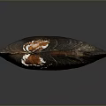 Shell Cartoon Pearl Pink Red Shell Mussel Clam Freshwater Pearl Seawater Pearl Nanyang Pearl 3d model