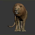 Realistic 3D Lion Model With Brown Mane Standing On Dark Reflective Surface 3d model
